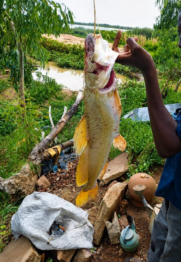 WhatsApp Image 2026-09-28 at 15.23.23(1) Poissson Gigiri