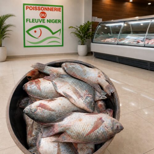 Poisson Carpe/Tilapia