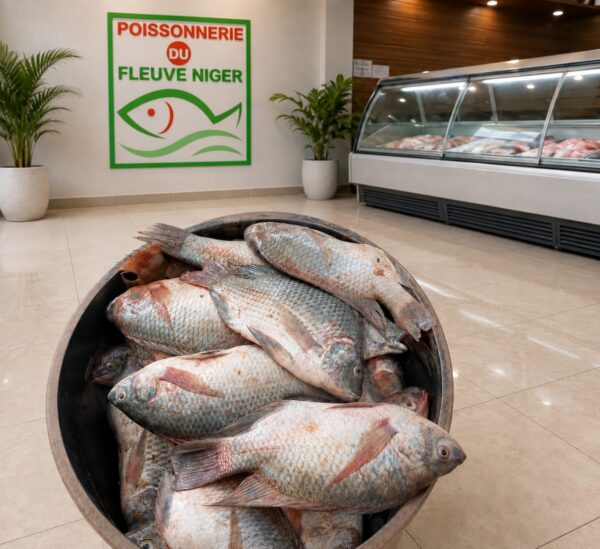 Poisson Carpe/Tilapia