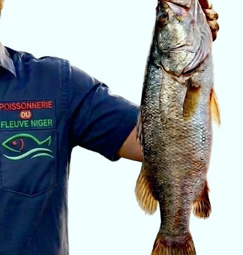 Poisson Capitain