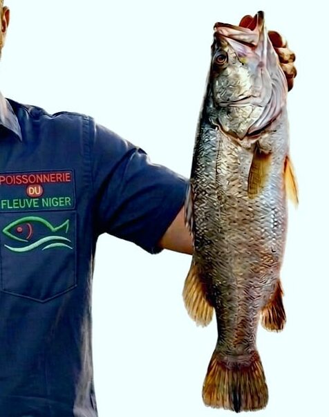 Poisson Capitain